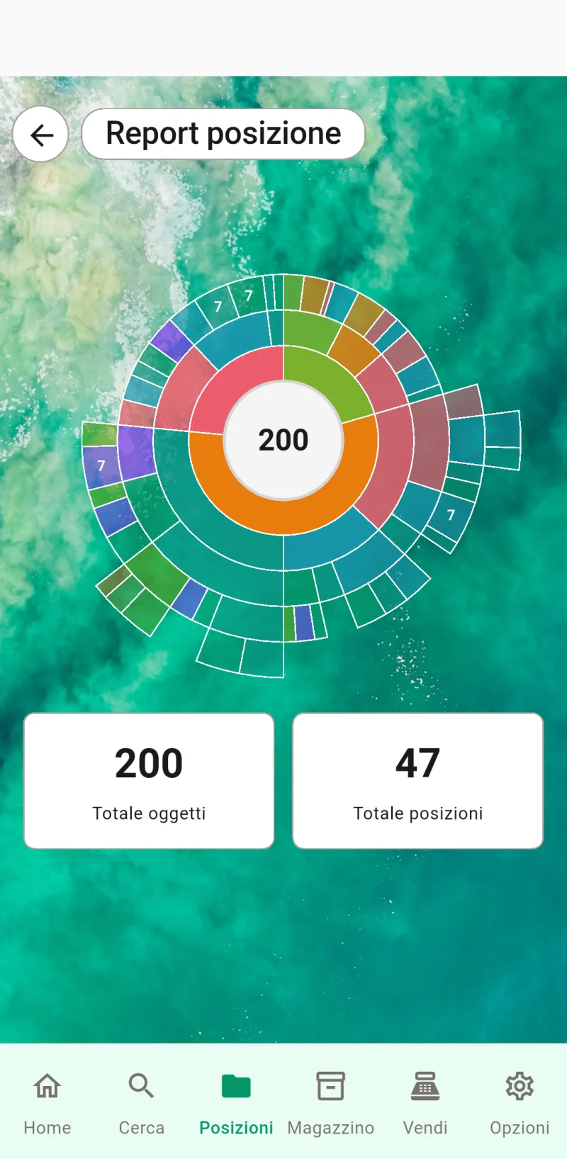 Grafico sunburst del rapporto sulla posizione